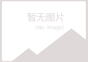 岢岚县匆匆造纸有限公司